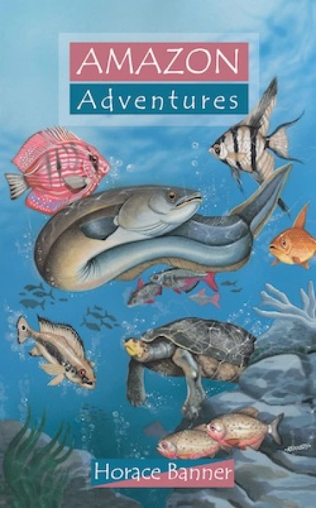 Exciting New Arrival! - Amazon Adventures - Korean Edition