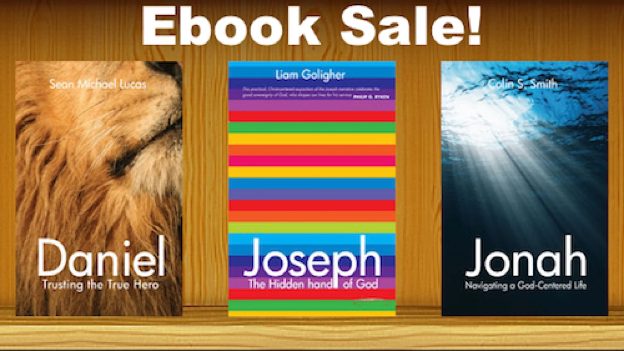 Ebooks on Sale Through November 25th