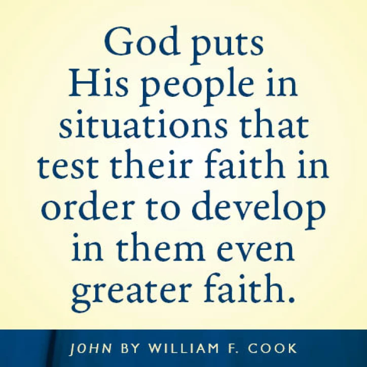 New in the Focus on the Bible Series - John: Jesus Christ Is God by William F. Cook