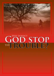 Why Doesn't God Stop the Trouble
