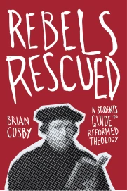Rebels Rescued