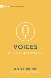 Voices - Who am I listening to?
