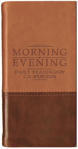 Morning And Evening - Matt Tan/Burgundy